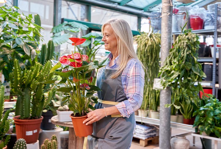 Vendeuse de plantes dans une pépinière