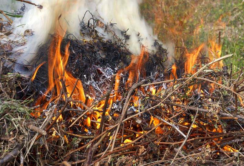 Déchets verts en feu