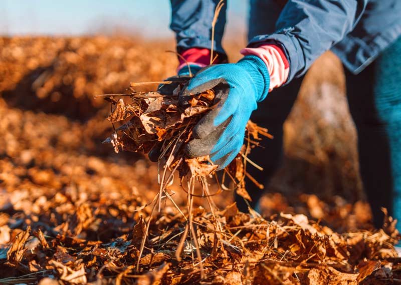 Travaux au jardin à l'automne