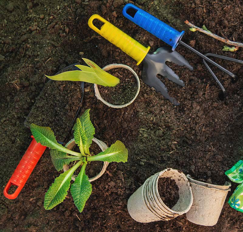 Les outils sont sortis pour les travaux de décembre au jardin