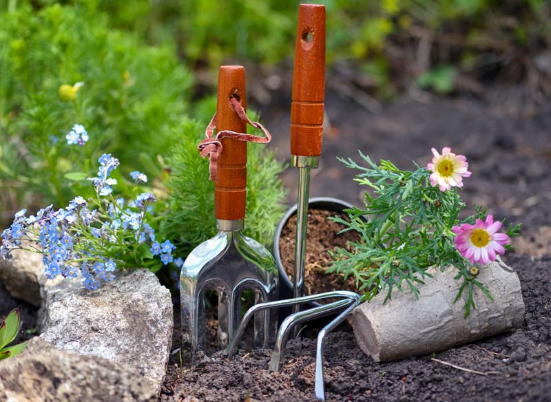 Les outils pour l'entretien de votre jardin en hiver.